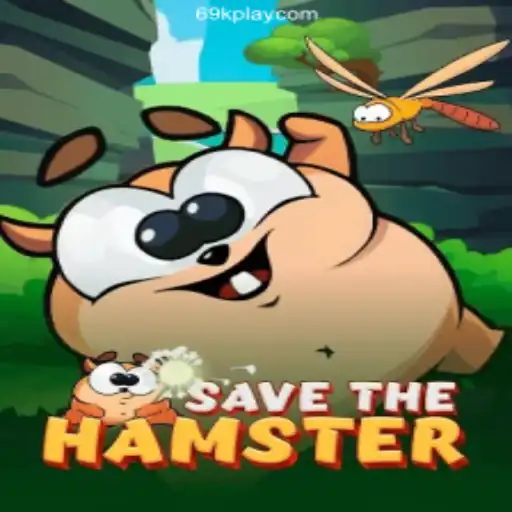Exploring SavetheHamster: A Dive into Brazilian Online Gaming Culture